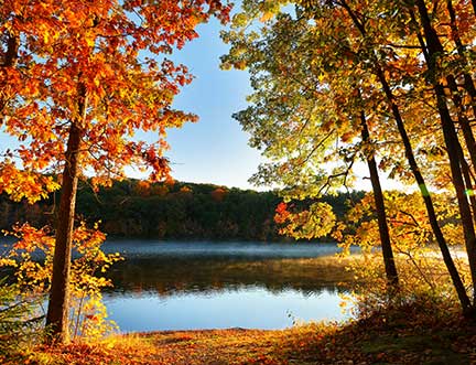 Lake and forest in Foxboro, MA